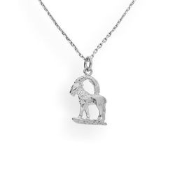 Srebrny naszyjnik ZNAK ZODIAKU KOZIOROŻEC - p. 925